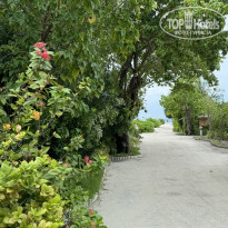 фото из отзыва ID 2612342