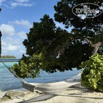 фото из отзыва ID 2612342