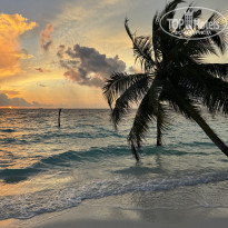 фото из отзыва ID 2612342