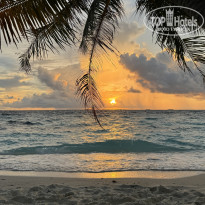 фото из отзыва ID 2612342