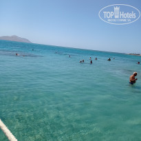 фото из отзыва ID 2612449