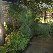 фото из отзыва ID 2612449