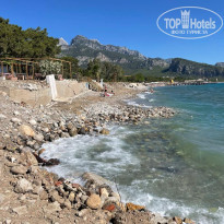 фото из отзыва ID 2611773