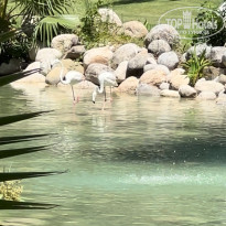 фото из отзыва ID 2612571