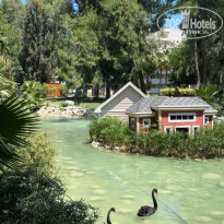 фото из отзыва ID 2612571