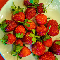 фото из отзыва ID 2612643