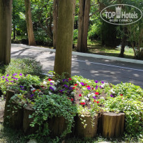 фото из отзыва ID 2612694