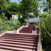 фото из отзыва ID 2612694