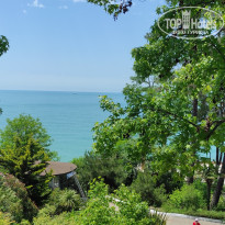 фото из отзыва ID 2612694