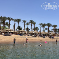 фото из отзыва ID 2611144