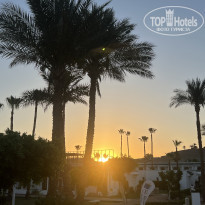 фото из отзыва ID 2611144