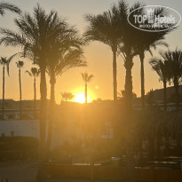 фото из отзыва ID 2611144