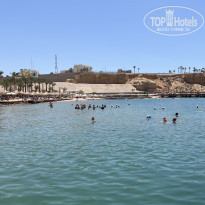 фото из отзыва ID 2611144