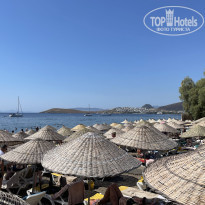 фото из отзыва ID 2612815