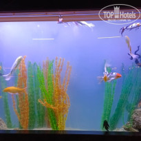 фото из отзыва ID 2612822