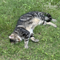 фото из отзыва ID 2612949