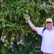 фото из отзыва ID 2613005