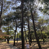 фото из отзыва ID 2613069