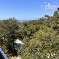 фото из отзыва ID 2613069