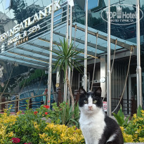 фото из отзыва ID 2612300