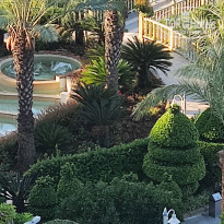 фото из отзыва ID 2613501