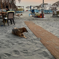 фото из отзыва ID 2613551