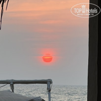 фото из отзыва ID 2613551