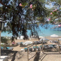 фото из отзыва ID 2613591