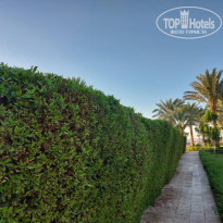 фото из отзыва ID 2613630