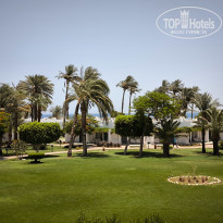 фото из отзыва ID 2612965