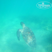 фото из отзыва ID 2612965