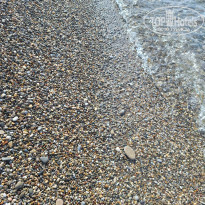 фото из отзыва ID 2613728