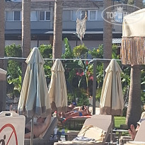 фото из отзыва ID 2613728