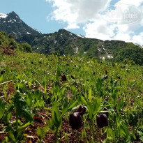 фото из отзыва ID 2613745