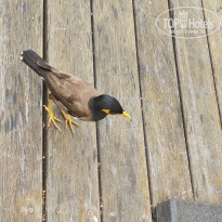 фото из отзыва ID 2613782