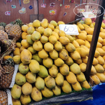 фото из отзыва ID 2613782