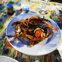 фото из отзыва ID 2613789