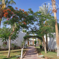 фото из отзыва ID 2613805