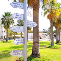 фото из отзыва ID 2613798