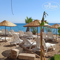 фото из отзыва ID 2612204