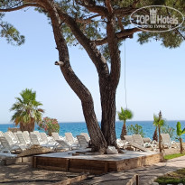 фото из отзыва ID 2612204