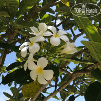 фото из отзыва ID 2613841