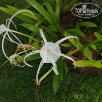 фото из отзыва ID 2613841