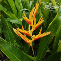 фото из отзыва ID 2613841