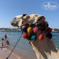 фото из отзыва ID 2613844