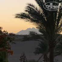 фото из отзыва ID 2613844