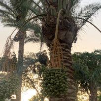 фото из отзыва ID 2613844