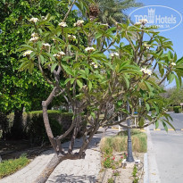 фото из отзыва ID 2613798