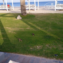 фото из отзыва ID 2613798