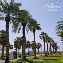 фото из отзыва ID 2613798